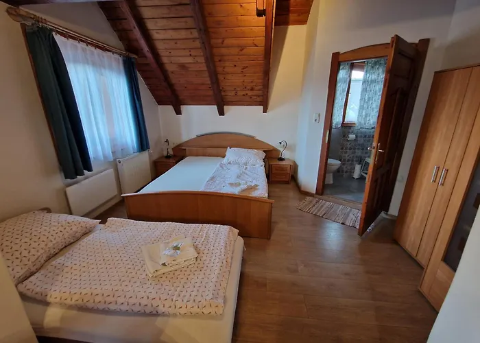 Morvai Panzio 住宿加早餐酒店 3*